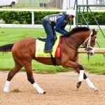 Preakness notes: Final breeze for Divining Rod