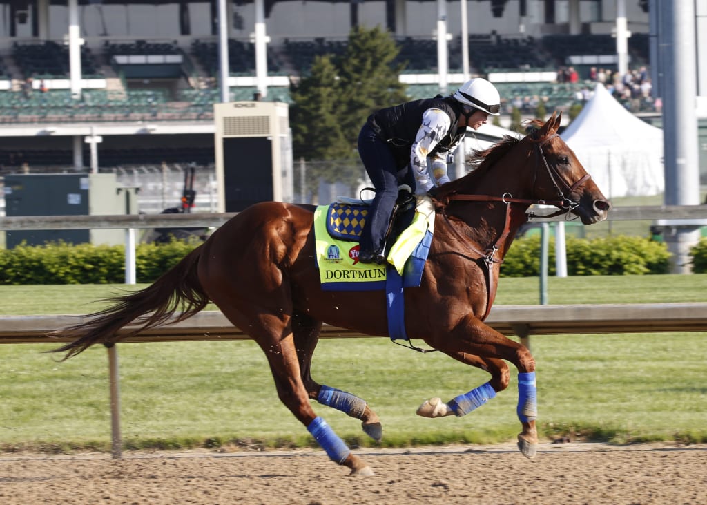 Dortmund on the track at Churchill Downs earlier this week. Photo by Reed Palmer, Churchill Downs.