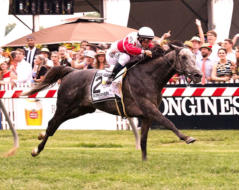 Ironicus takes the Dixie Stakes