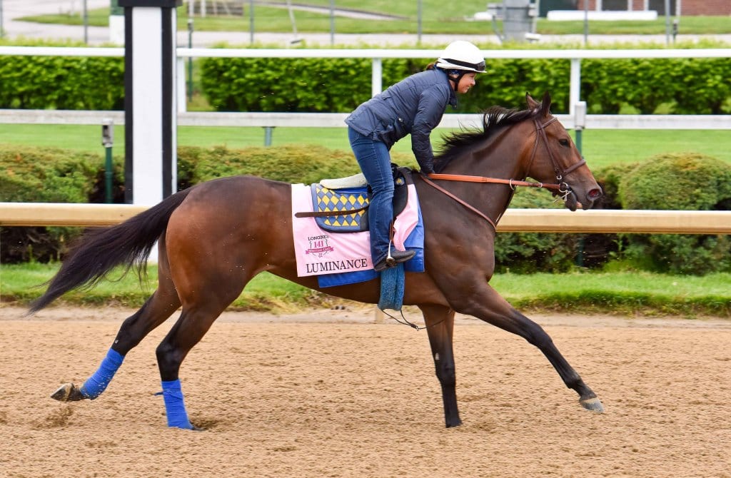 Luminance training at Churchill Downs. Photo by Mike Kane.