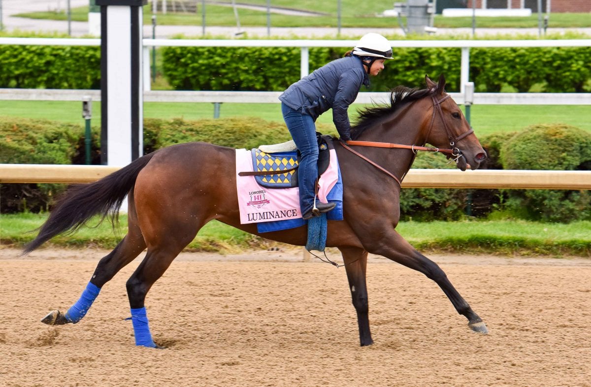 Bob Baffert’s Luminance likely Black-Eyed Susan favorite