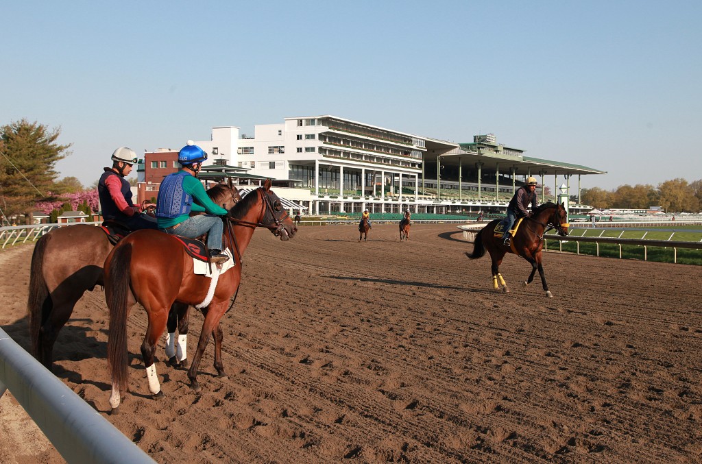 Horses train over Monmouth's main track. Photo By Bill Denver/EQUI-PHOTO.