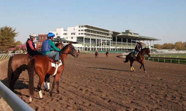 Jockeys’ Guild to appeal NJ crop rule