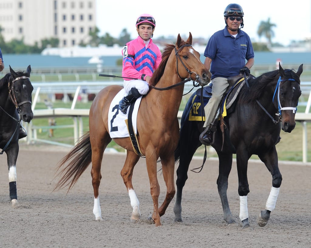 Top Billing. Photo courtesy of the Maryland Jockey Club.