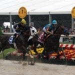 “Goosebumps” from Nyquist gallop