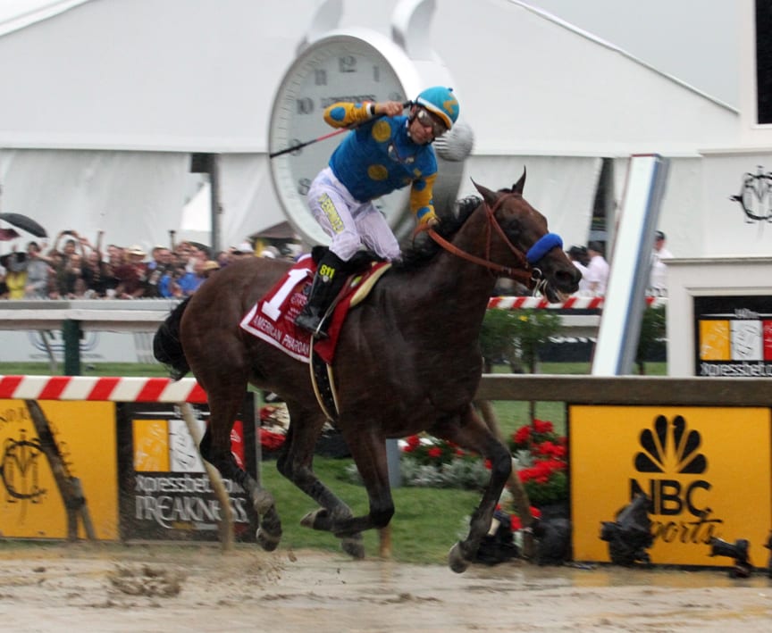 American Pharoah: history awaits. Photo by Laurie Asseo.