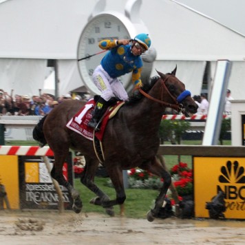 americanpharoah preakness-1959scaled