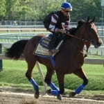 Preakness profiles: Dortmund