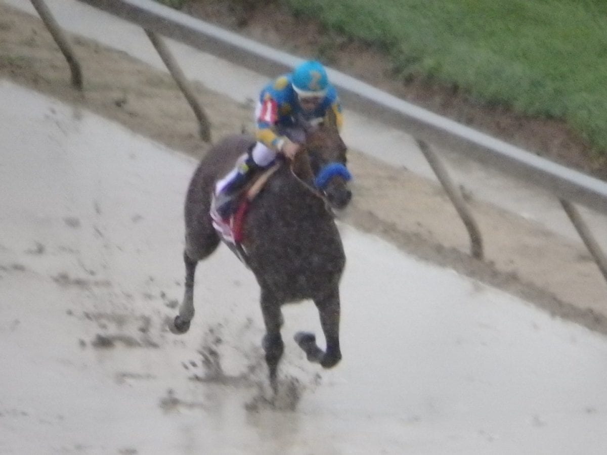 American Pharoah takes Swimlico by storm in Preakness win