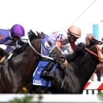 Maryland sire Lion Hearted dies