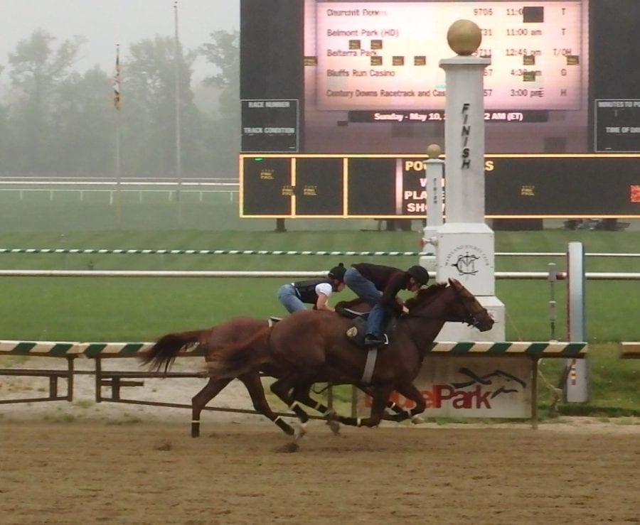 Preakness hopeful Bodhisattva posts final breeze