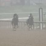 American Pharoah, Dortmund gallop