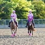 Harrison named president of Maryland Horse Breeders Association