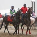 West Virginia horse interests rally against decoupling bill