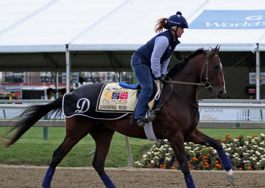 Preakness profiles: Divining Rod