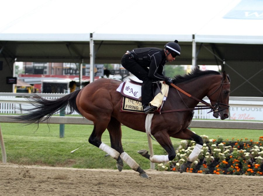 Preakness profiles: Firing Line