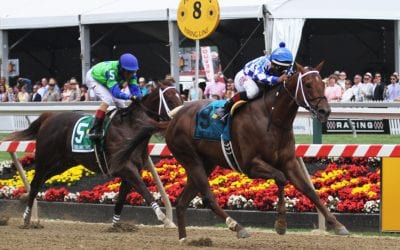 Sire Holy Boss has first winner