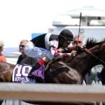 Preakness weekend runners map future plans