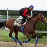 Tom Amoss aims for fourth straight Hilton win
