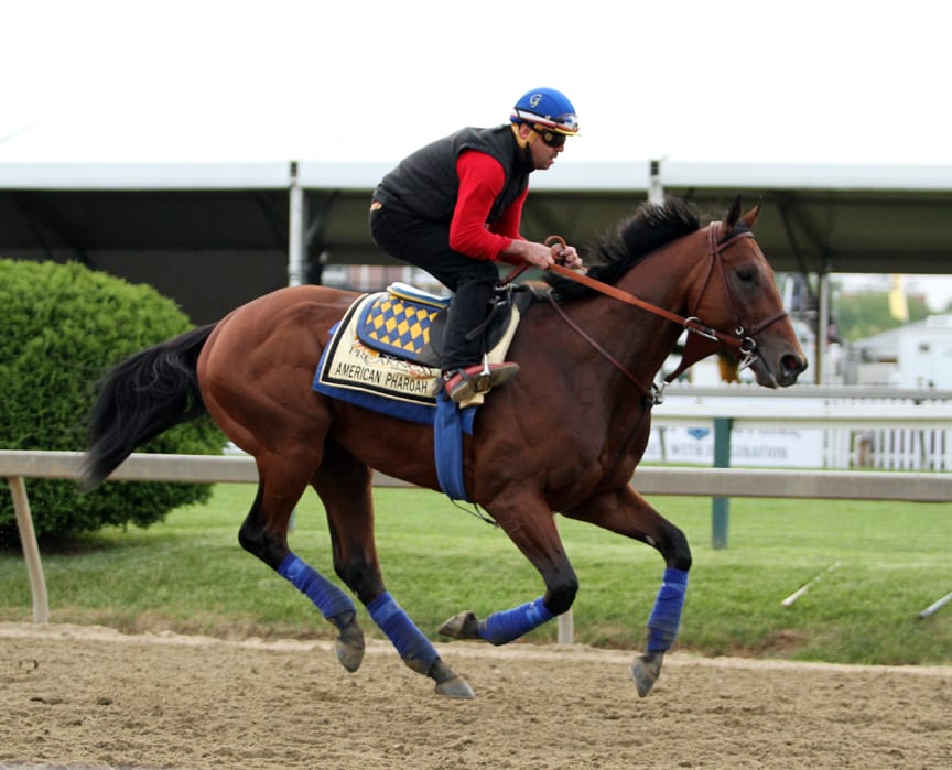 Major Belmont contenders stretch their legs