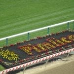 Parx picks and horses to watch: June 15