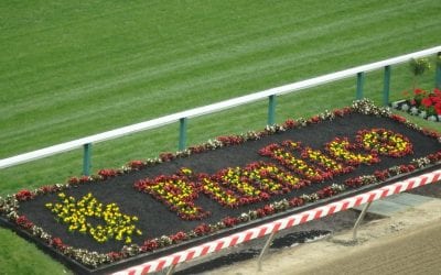 What we know (and don’t) about Maryland racing’s future