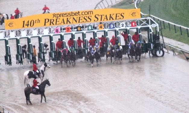 Preakness: Quip shows “good energy” in morning jog