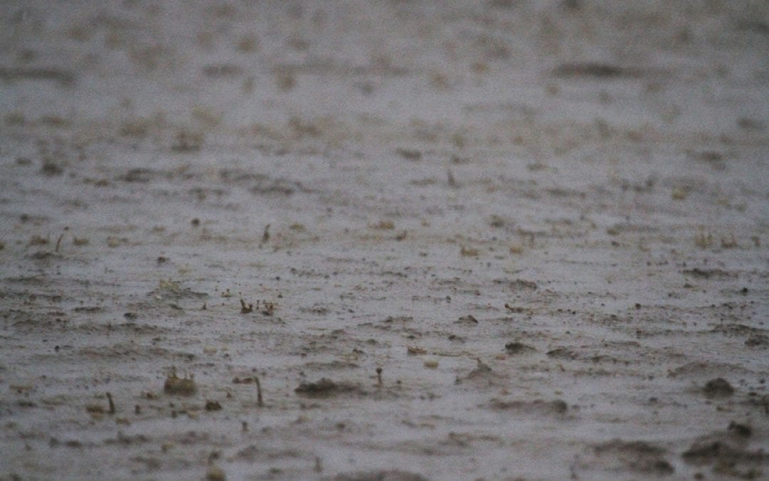 Mid-Atlantic tracks announce cancellations