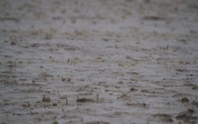 HISA adds to racetrack safety committee