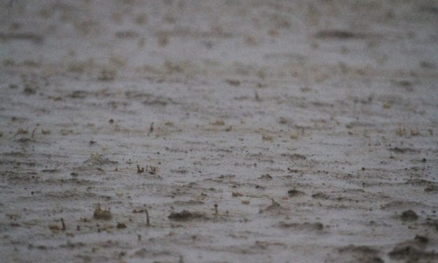 Mid-Atlantic tracks announce cancellations