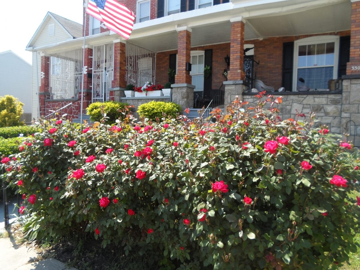 For Pimlico’s neighbors, Preakness “a good day”