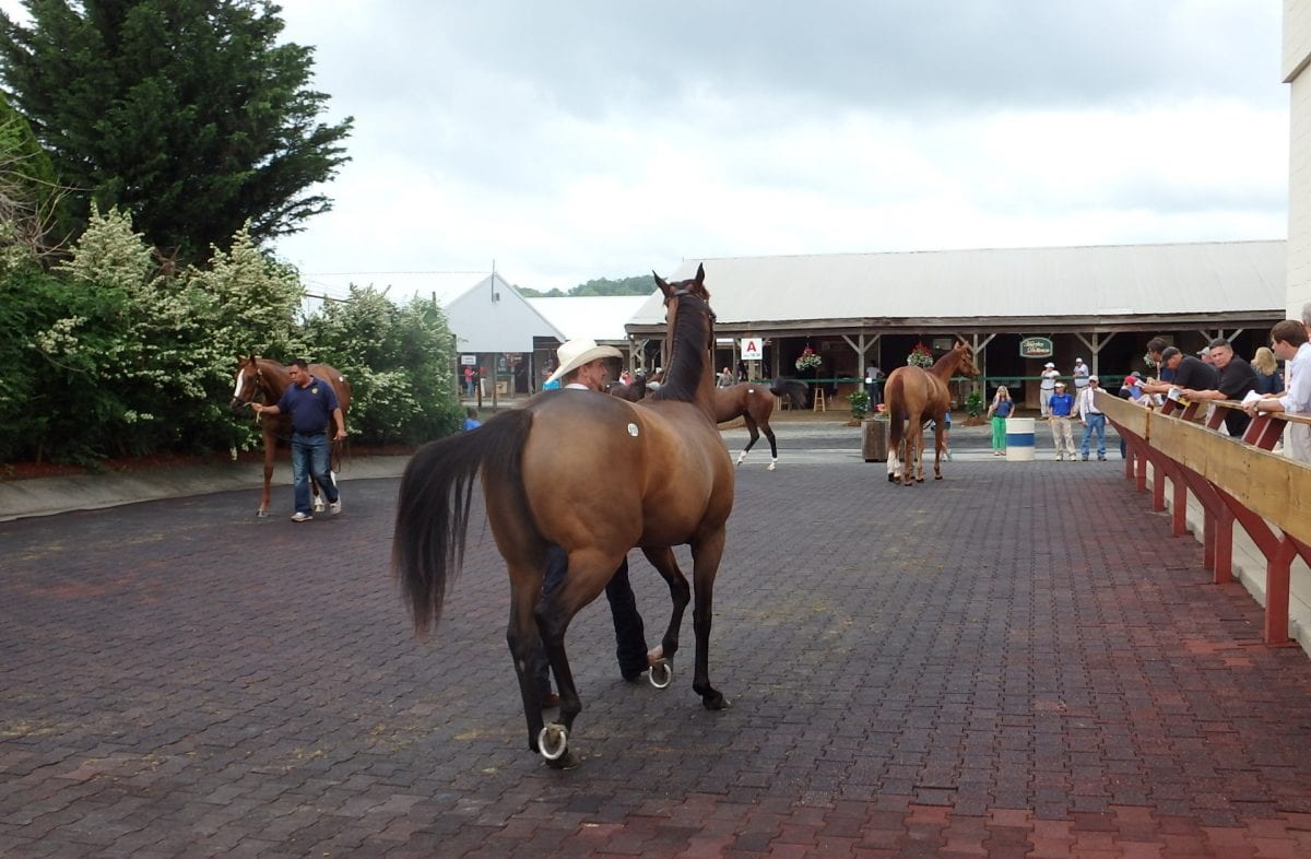 Million-dollar horse spurs “great” Fasig-Tipton sale