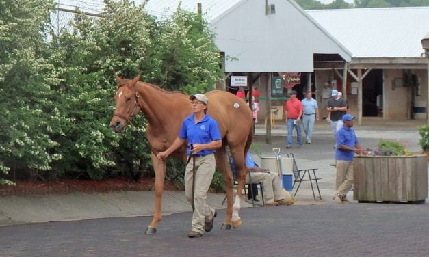 Fasig-Tipton: Consignors have fingers crossed