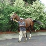 September 28 racing highlights: Red Dragon Tattoo scores on debut