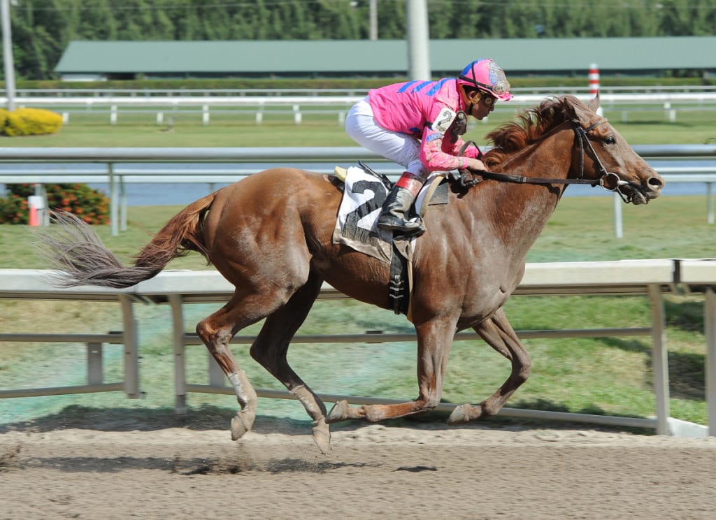 Top Billing. Photo courtesy of the Maryland Jockey Club.