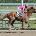 Preakness weekend undercard runners prep