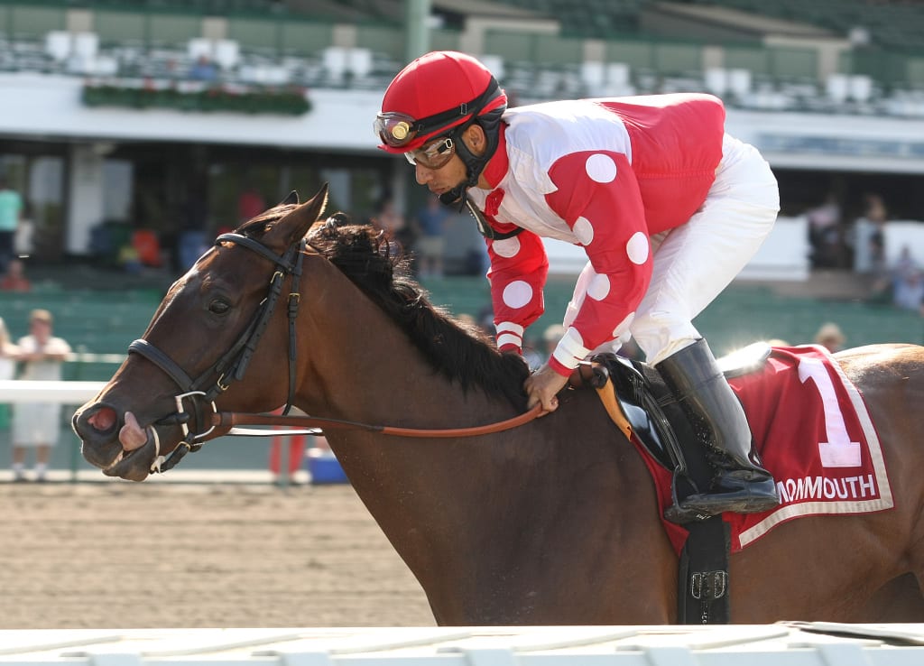 More Than A Party coasted to an easy win in the Open Mind Handicap at Monmouth Park.  Photo By Bill Denver/EQUI-PHOTO.