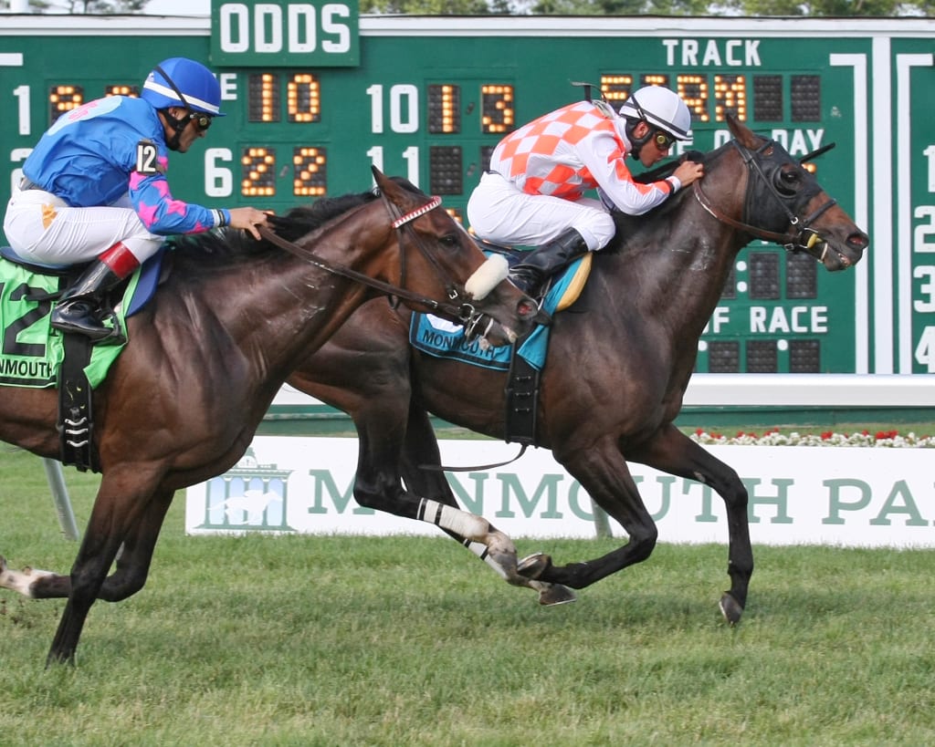 Saucy Don took the Dan Horn for NJ-breds Sunday at Monmouth Park. Photo By Taylor Ejdys/EQUI-PHOTO