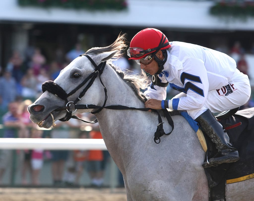Mr. Jordan took the measure of Tekton to win the G3 Pegasus on Sunday at Monmouth. Photo By Bill Denver/EQUI-PHOTO 