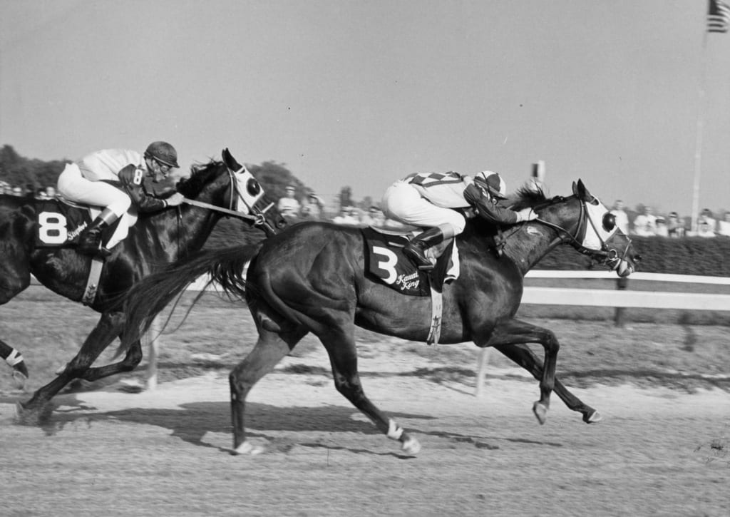 Kauai King. Photo courtesy of the Maryland Horse Breeders Association.