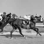 Major Belmont contenders stretch their legs