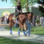 Delaware Park proposes later start, shorter meet