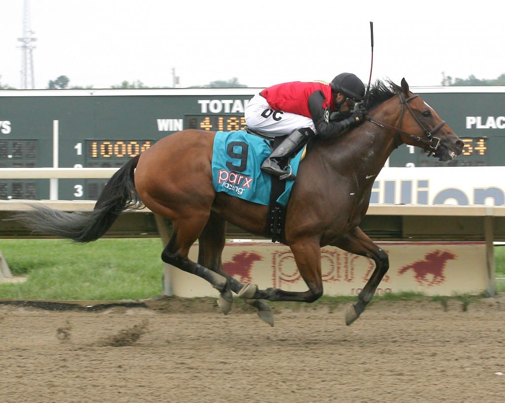 A.P. Indian won the Donald LeVine Memorial at Parx Racing on Saturday.  Photo By Barb Weidl/EQUI-PHOTO