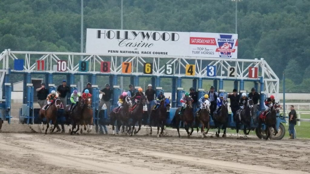 Off in the Mountainview Handicap. The show ran behind schedule - but it did go on. Photo by The Racing Biz.