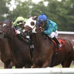 Ben’s Cat “fine” after disappointing Parx Dash
