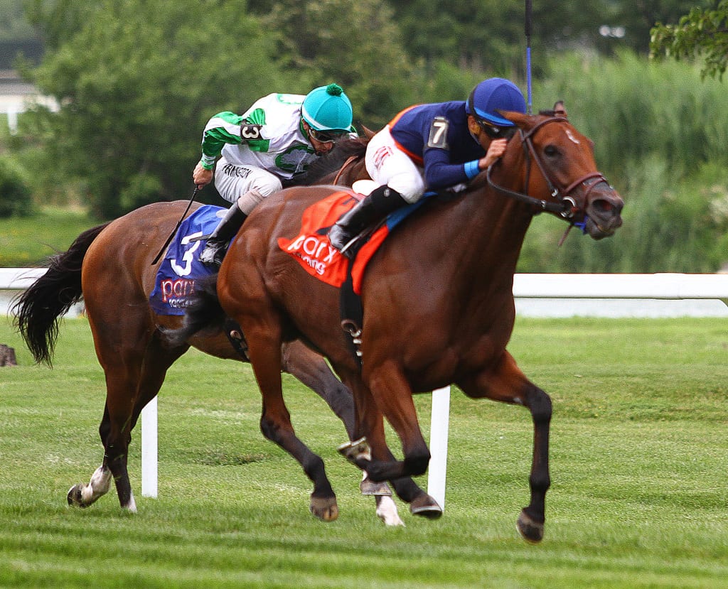 Coffee Clique took over in the lane to win the Dr. James Penny Memorial Saturday at Parx. Photo By Taylor Ejdys/EQUI-PHOTO