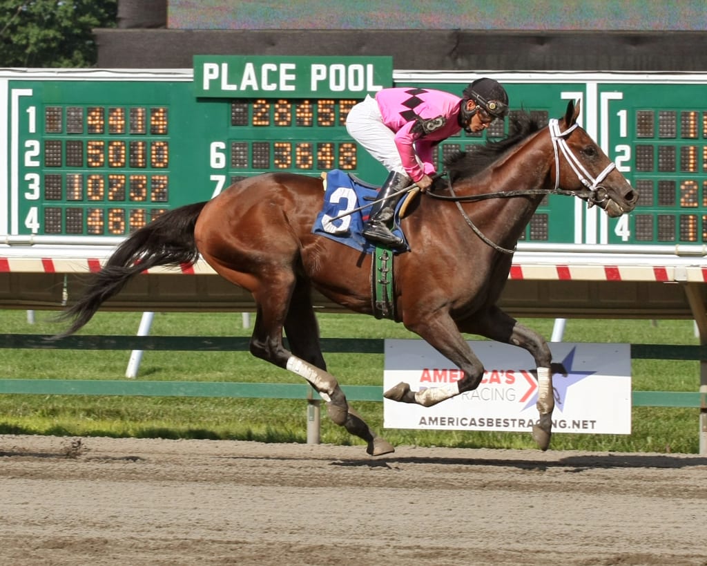 Top Clearance winning at Monmouth earlier this month. Photo by Bill Denver, Equi-photo.