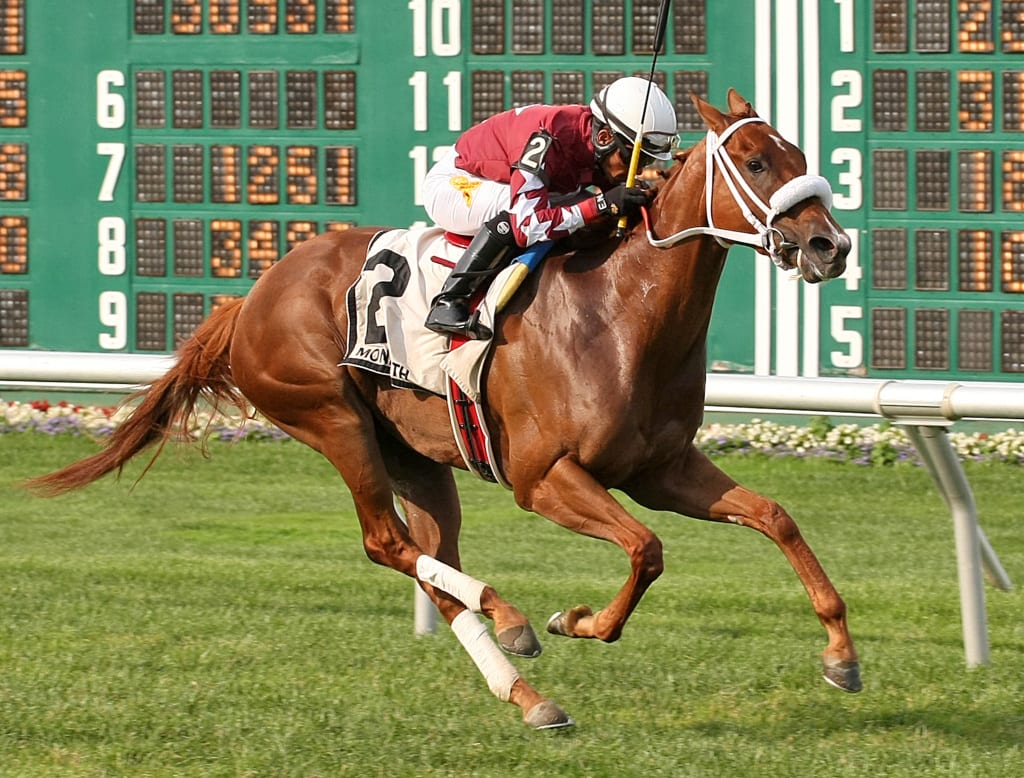 Lady Shipman dazzled in winning the Klassy Briefcase by six. Photo By Ryan Denver/EQUI-PHOTO