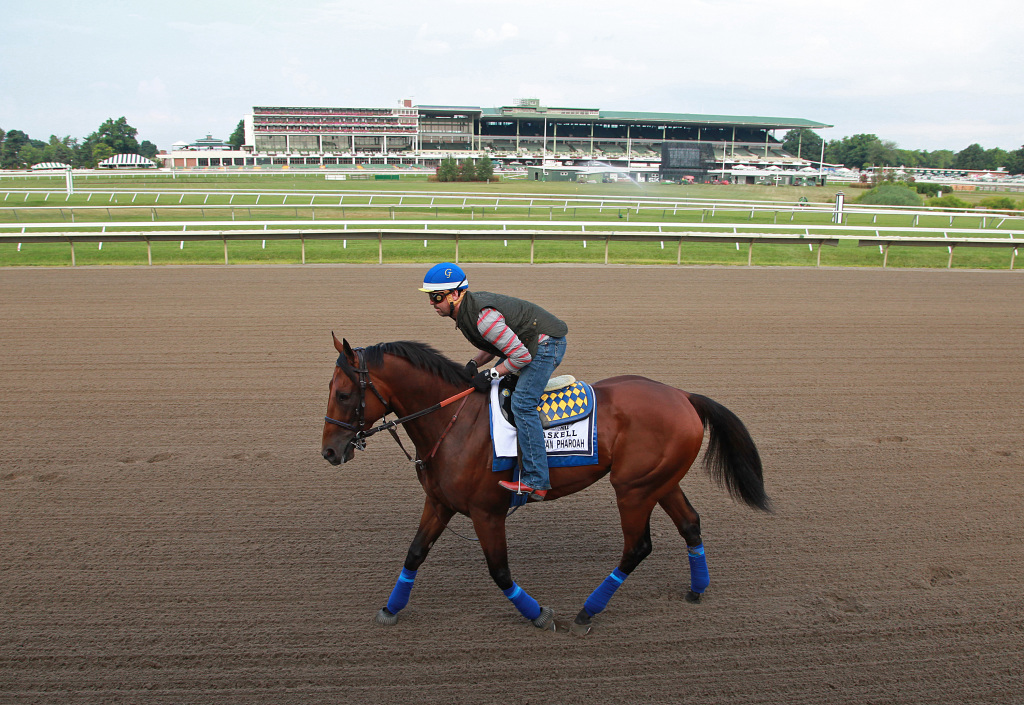 American Pharoah at Monmouth Park. Photo By Bill Denver/EQUI-PHOTO