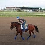 Bonita Farm adds Norumbega to stallion roster